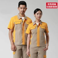 19 типов верблюжьего желтого желтого вставки молнии (верхние+брюки)