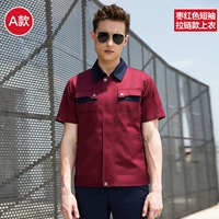 Бордовый коротки (вверху)