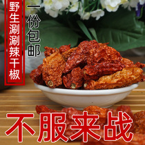 Yunnan Dehong Mangshi Shabu Shabu Spicy Dry Pepper Metamorphosis Hot Pot Scenic Pepper 50g Hot Pepper