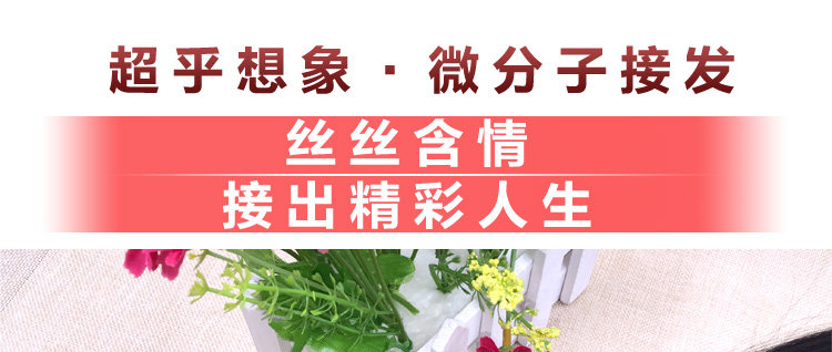 Extension mèches - Ref 216900 Image 22