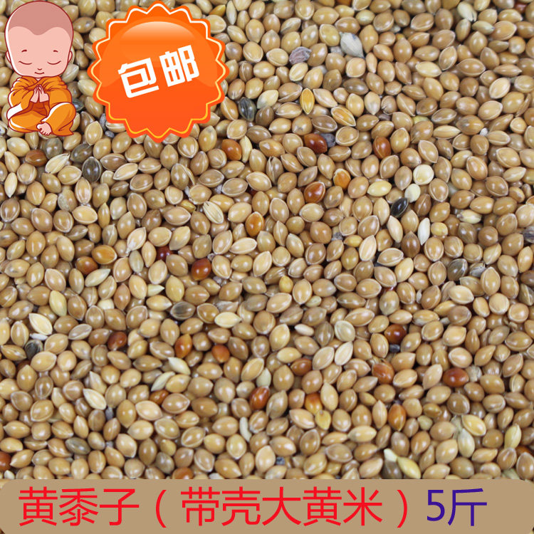 Yellow millet with shell hamster sage and pineapple peonies parrot bird food feed spotted dove food for pillows 5 catties