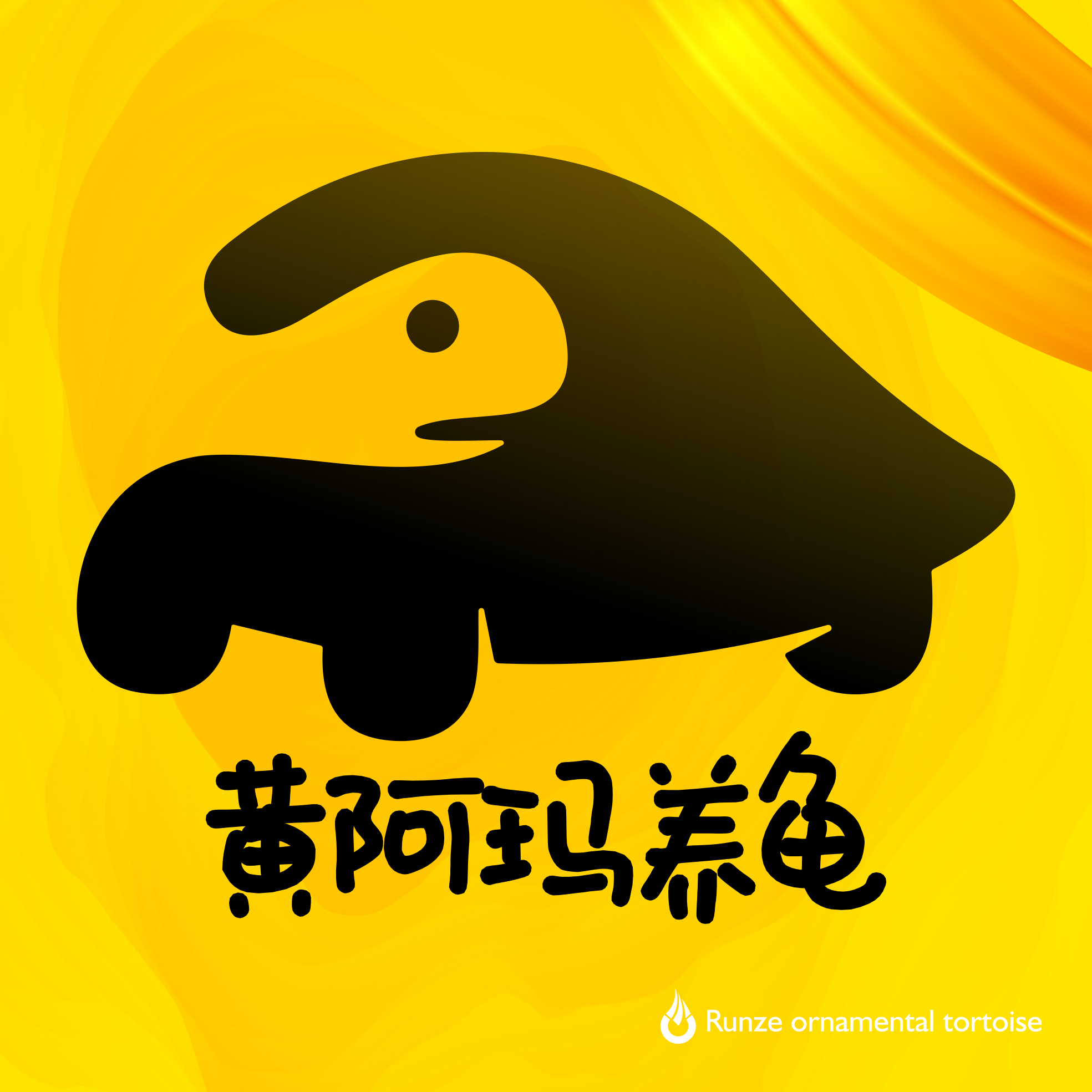 黄阿玛养龟