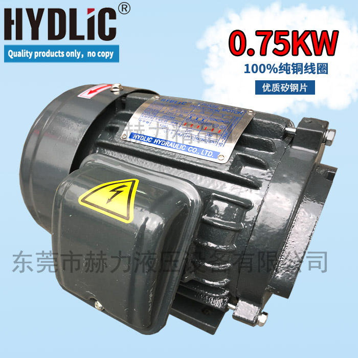 The inner shaft add-in three-phase 380V oil pump motor Y802-4 1HP 0 75KW adapted VP20 hydraulic spline