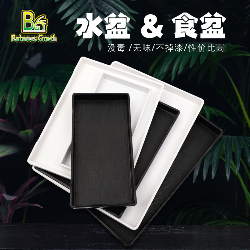 Climbing Spotting Water Basin Reptile Lizard Lizard Lutortoise Feeding Corner Frog Bathurg Bathhouse Radiant Rearing Box Pet Drinking Water