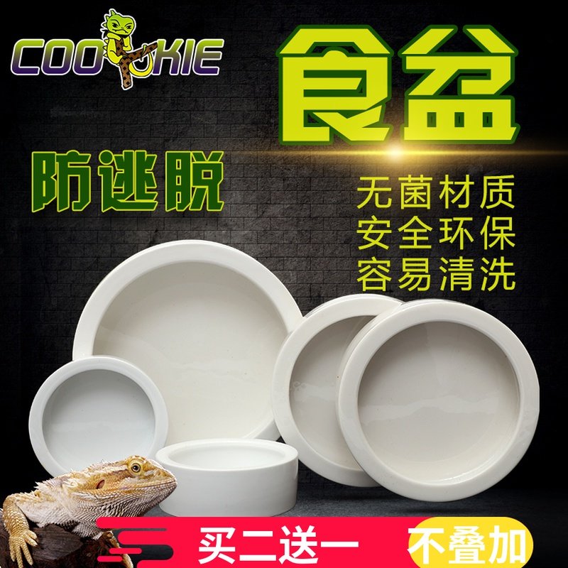 Reptilian guru lizard food basin anti-escape crawl mane lion spider feeding box live breadworm Dubiya ceramic bowl