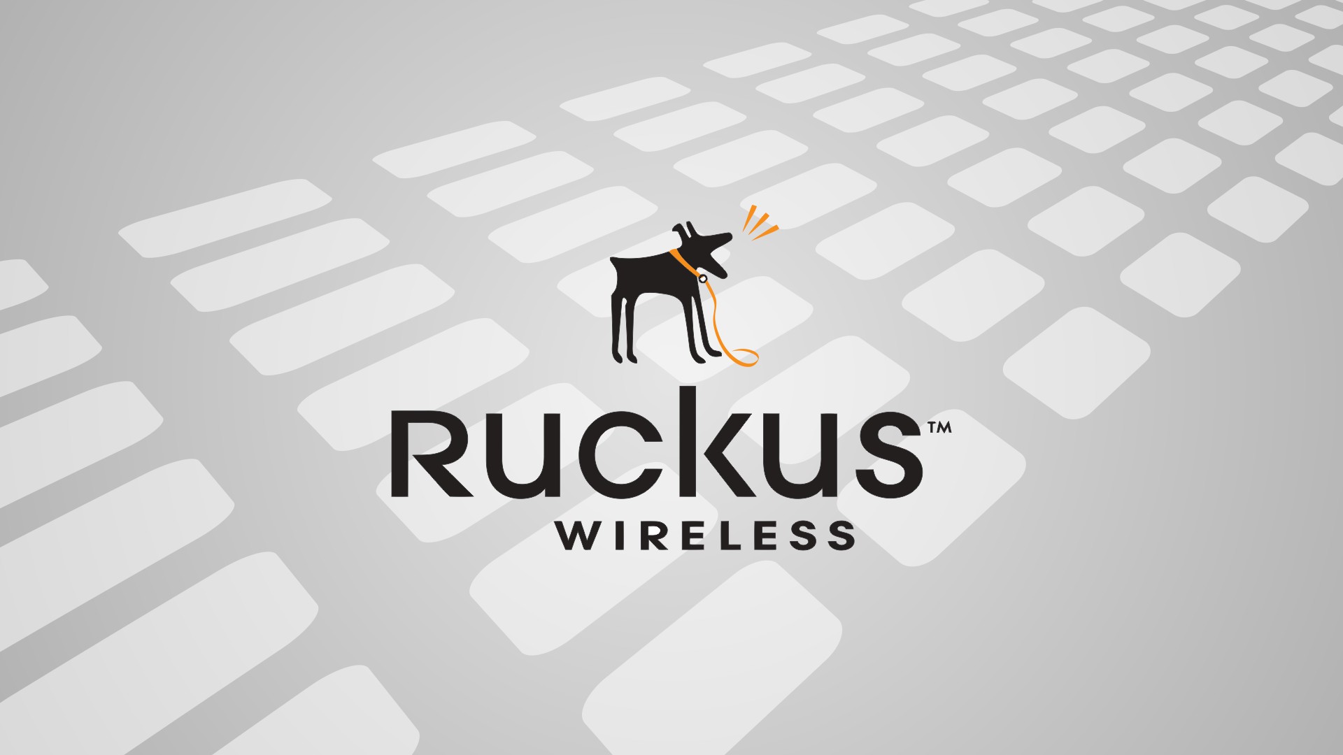 ruckus Uko ZD1205 Wireless Controller authorizes 909-0001-ZD12 management license LICENSE vSCG-Taobao