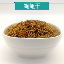 Thrush bird food fly maggot dried 100g snack golden worm dried thrush feed