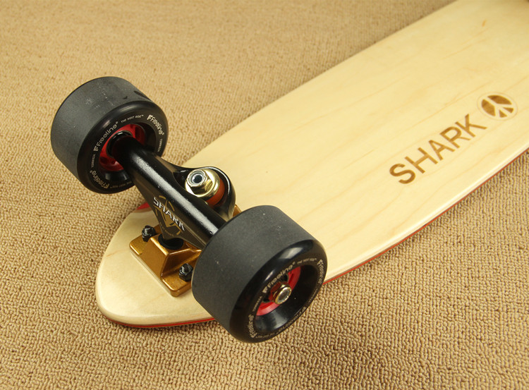 Skateboard pour homme femme enfant       - Ref 2594042 Image 8