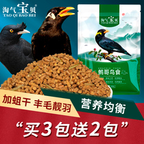 Starlings feed bird feed beagles bird food feed nutrition bird food bird feed bird feed bird food bird food special food food for starlings