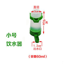 Automatic drinking fountain for birds Parrot bird feeding feeder bowl anti-sprinkling kettle water cup bird supplies