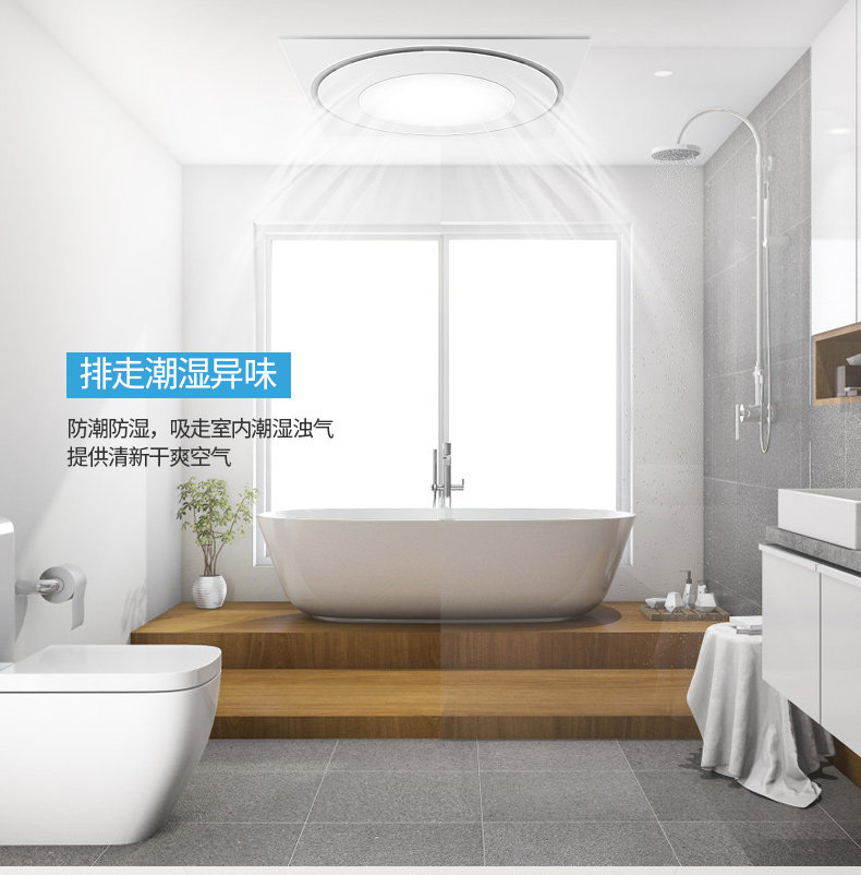 AVILLED FAN 2020_07.JPG