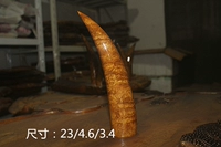 9586 Lightning Dragon Tripstarium