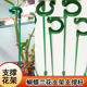 Butterfly flower stand support rod orchid spider orchid flower stand succulent flower stand anti-falling rose flower plant flower support stand