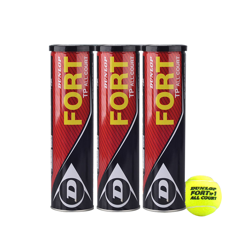 Dunlop Dunlop Fort Elite TP Tin Tennis French Open Tennis 3 4 pack