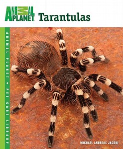 【预售】Tarantulas