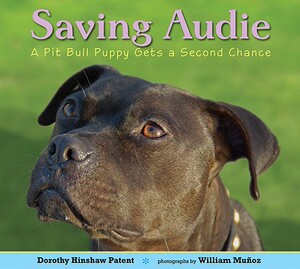 【预售】Saving Audie: A Pit Bull Puppy Gets a Second Chance