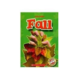 【预售】Fall