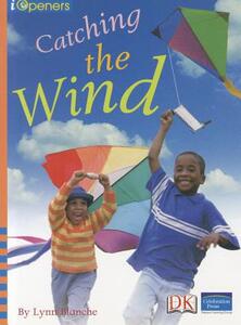 【预售】Catching the Wind