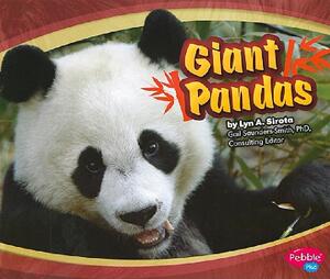 【预售】Giant Pandas