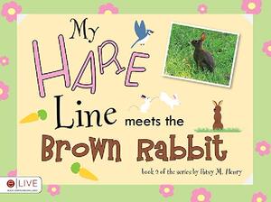 【预售】My Hare Line Meets the Brown Rabbit