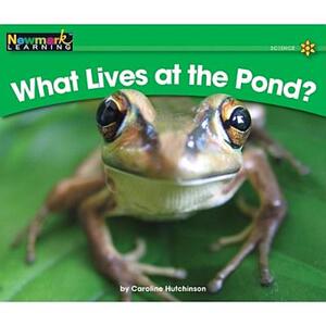 【预售】What Lives at the Pond?