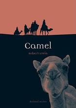 Camel Active фото
