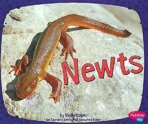 【预售】Newts