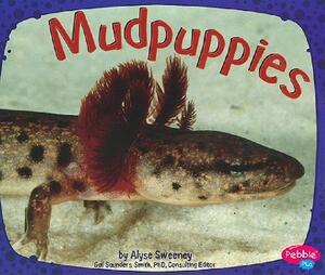【预售】Mudpuppies