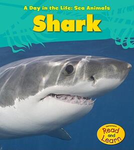 【预售】Shark