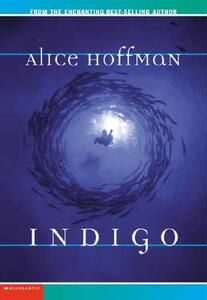 【预售】Indigo