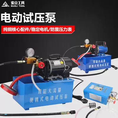 Electric pressure test pump DSY-25 pressure pump Portable PPR water pipe Press 60kg pressure measuring machine floor heating pump
