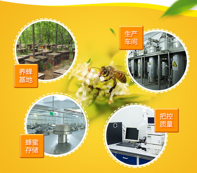 2000 蜜 20 20 Honey Text_13.jpg