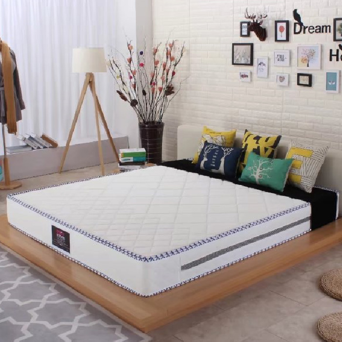 Special price independent spring coconut palm cushion Soft and soft dual-use mat Dream Siding bed cloth double mattress can be set and washed