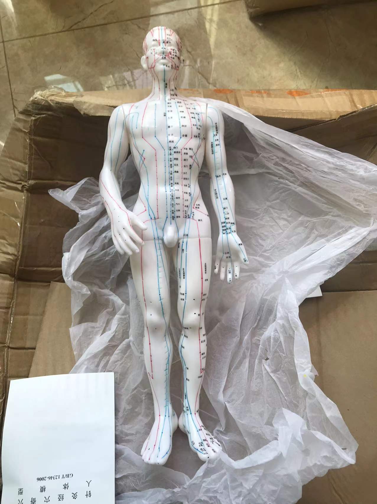 男性针灸模型针灸娃男性针灸人针灸穴位模型高清50cm