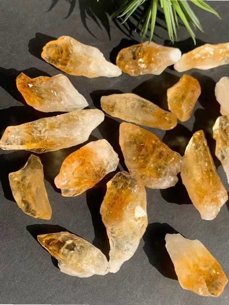 Товары от 中老年大众服饰城