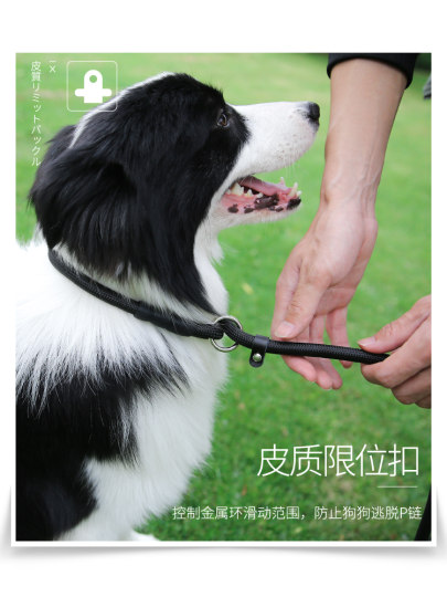 Dog Leash for Medium and Large Dogs, Husky P-Chain 1.6m Labrador Golden Retriever Dog Walking Leash