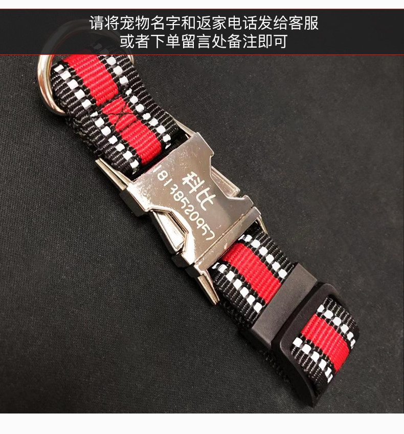 [金属扣项圈_08.jpg]