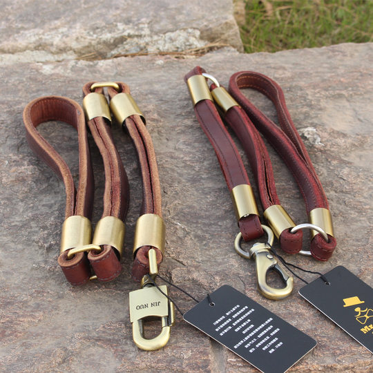 Medium and Large Dog Supplies, Dog Leash with Collar, Leather Leash for Golden Retrievers and Labradors, Dog Chain