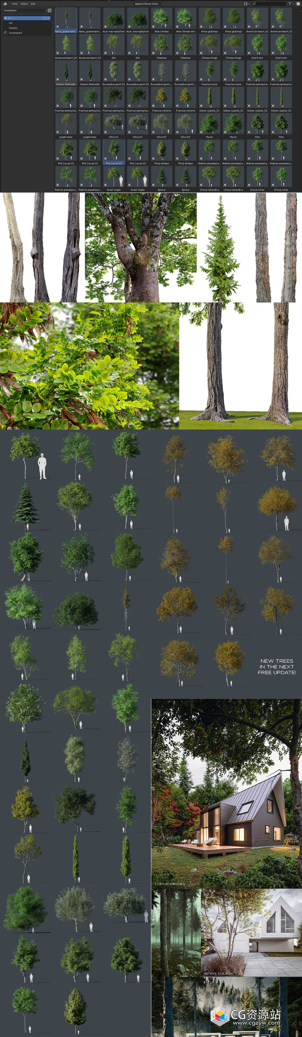 三维扫描植物树木3D模型资产Blender预设插件+素材库 Forestation V2.3-图片2