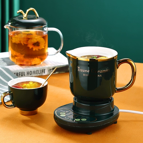 Многофункциональный здоровье электрическая тушеной чашка маленькая 1 человек чайная чашка офис мини -кипящий