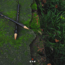 Qingdong small wolf milli pen fat wolf fat wolf pure wolf milli chicken from pen garlic head old pen pen