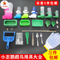 Parrot automatic drinking water dispenser feeder food dispenser splash-proof food box bird cage bath basin fruit fork bird supplies