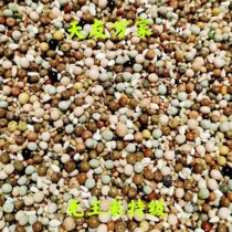 天友万家无玉米幼鸽特级幼鸽鸽粮鸽子饲料信鸽赛鸽50斤