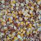 ເມັດພືດ Liangde Yiyou corn-free pea pigeon grain homeing pigeon pigeon grain 50 pounds ສົ່ງຟຣີ