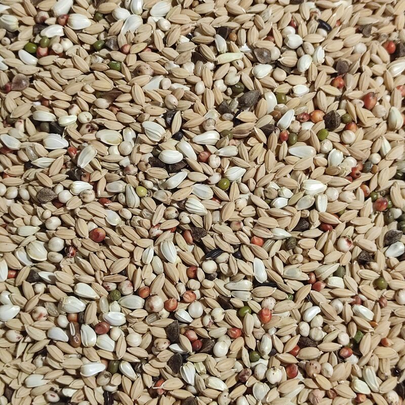 Liangdeyi Non-Barley Wheat-Free Pure Rice Removal 22.5kg 
