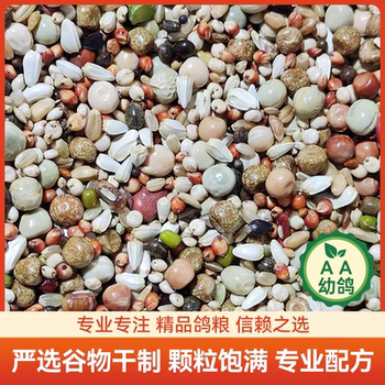 Yipinhong 2a ຫນຸ່ມ pigeon 25 ປອນສົ່ງຟຣີ