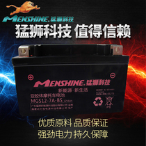 Yamaha Ling Eagle Xun Eagle still collar 125 pedal motorcycle battery maintenance-free battery 12V