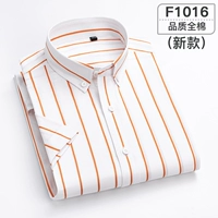 F1016