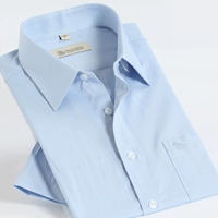 SFLD2816 Blue Countique Line