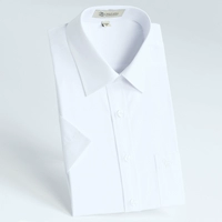 SFLD1681 Pure White